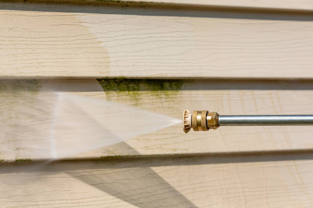 Best Exterior Home Cleaning  in Aviston, IL