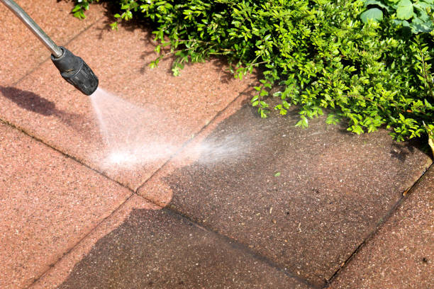Best Pressure Washing Services Near Me  in Aviston, IL