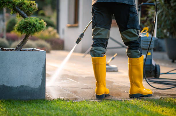 Best Fence Pressure Washing  in Aviston, IL